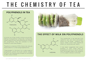 Polyphenols & Antioxidants – The Chemistry of Tea
