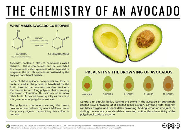 The Chemistry of Avocados