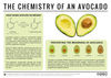 The Chemistry of Avocados
