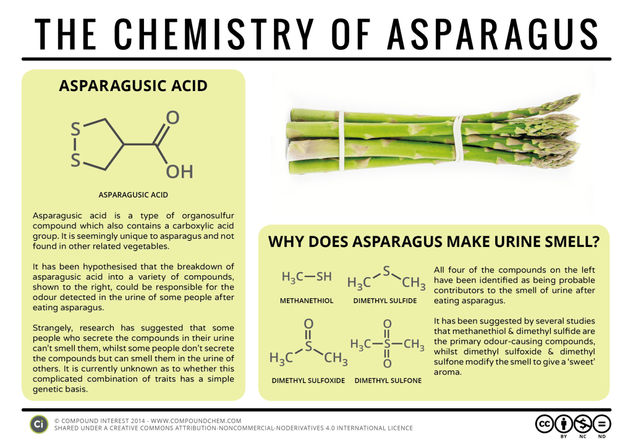 Why Does Asparagus Make Urine Smell? – The Chemistry of Asparagus