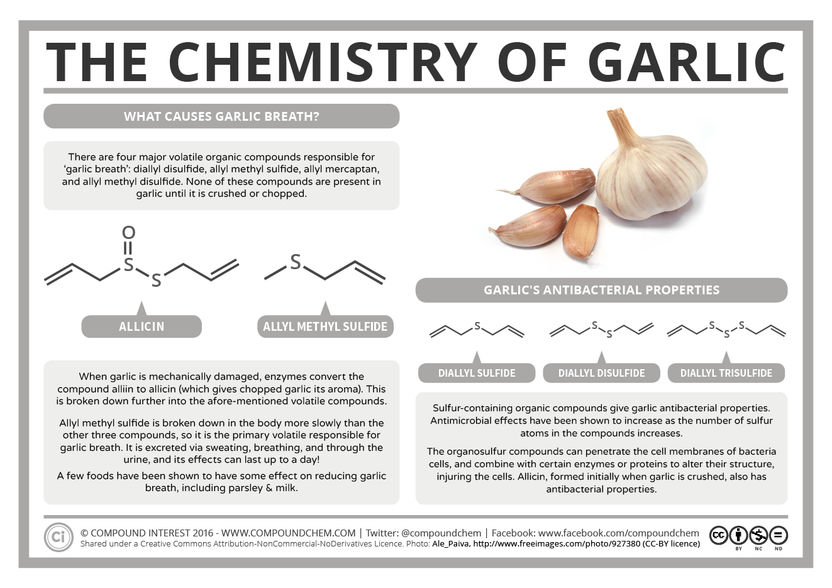 What Compounds Cause Garlic Breath?