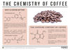 Why is Coffee Bitter? – The Chemistry of Coffee