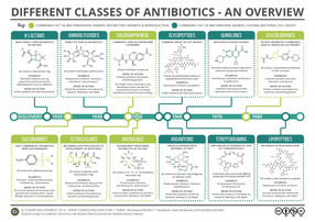 A Brief Overview of Classes of Antibiotics