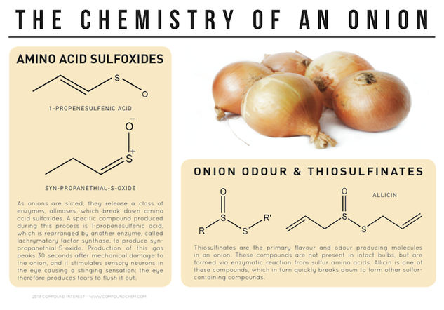 The Chemistry of an Onion