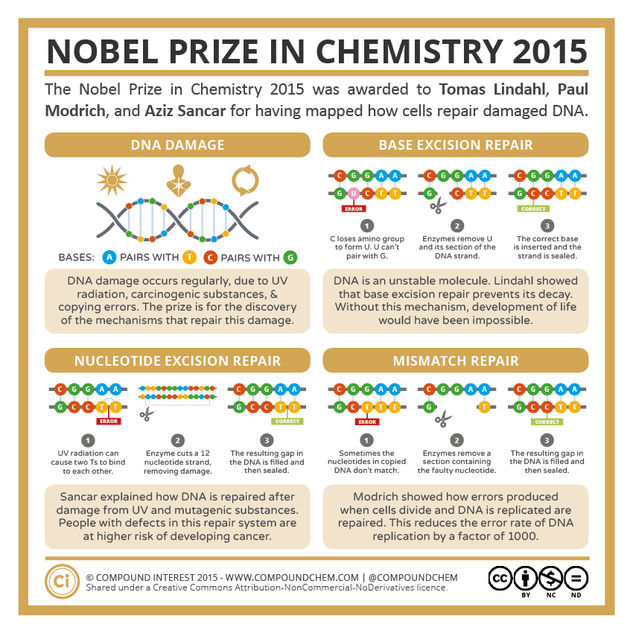 The 2015 Nobel Prize in Chemistry: DNA-Repair