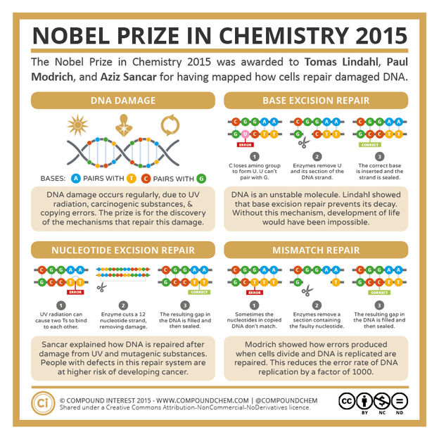 Nobel Prize in Chemistry 2015
