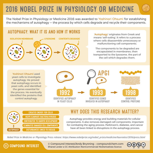 Nobel Prize in Physiology or Medicine 2016