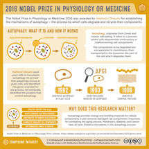 Nobel Prize in Physiology or Medicine 2016