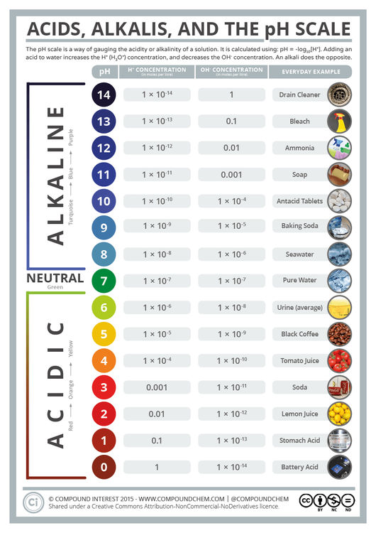 Acids, Alkalis, and the pH Scale