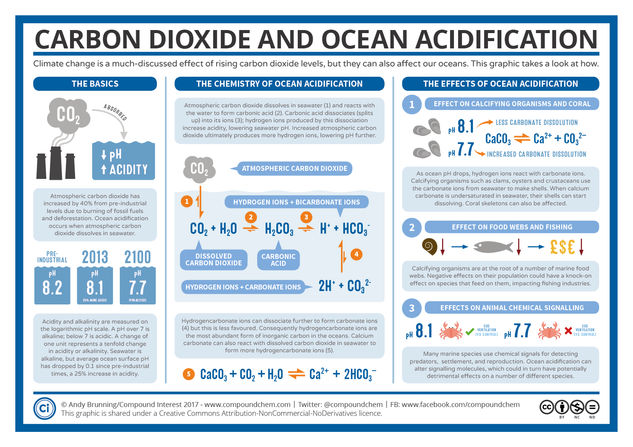 Ocean Acidification: “The Other Carbon Dioxide Problem”