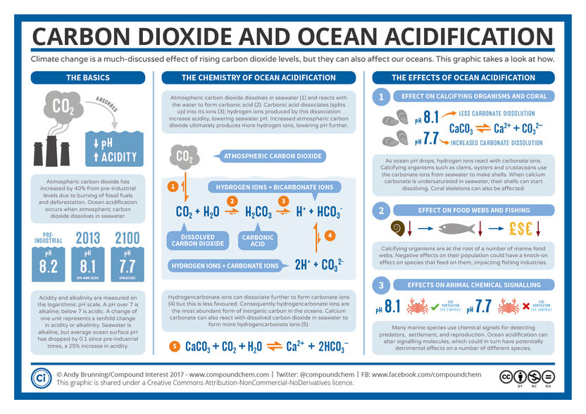Ocean Acidification