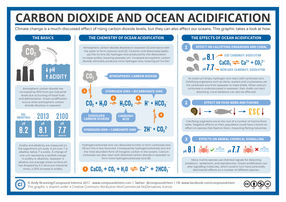Ocean Acidification: “The Other Carbon Dioxide Problem”
