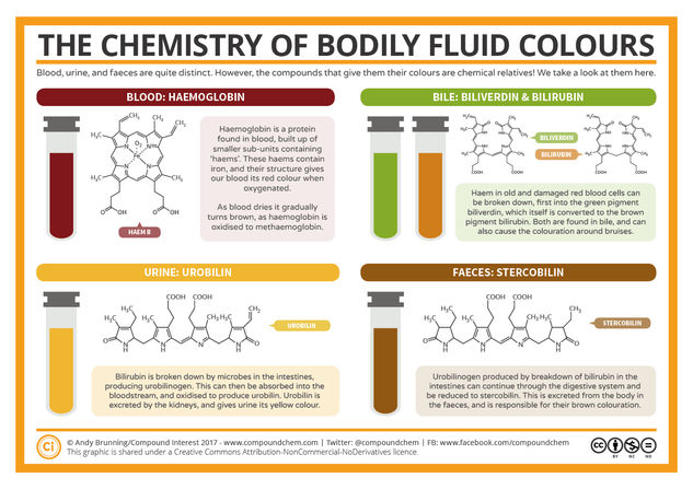 The Chemistry of the Colours of Bodily Fluids