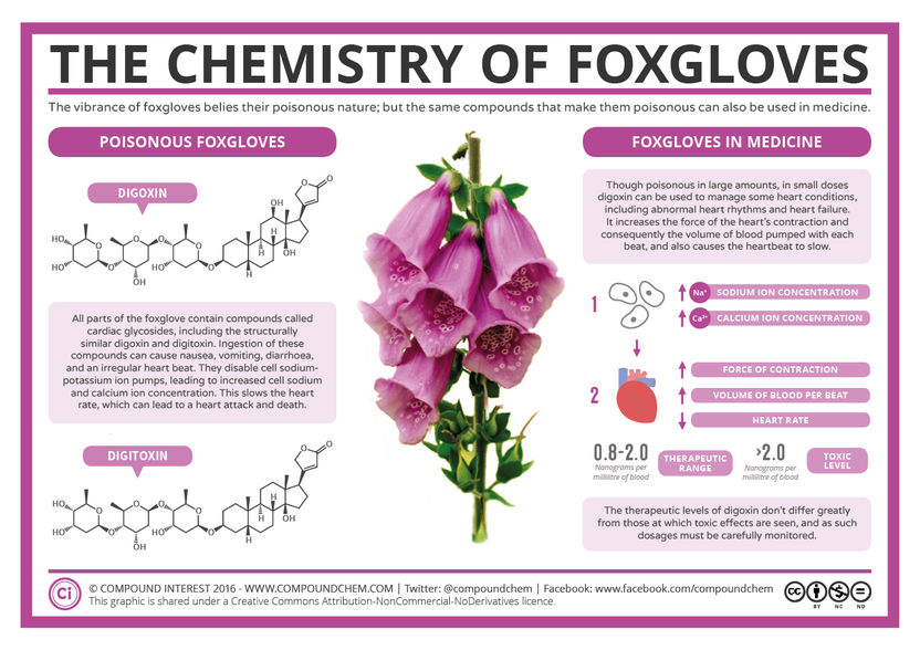 The Chemistry of Foxgloves