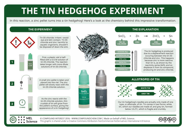 The Tin Hedgehog Experiment