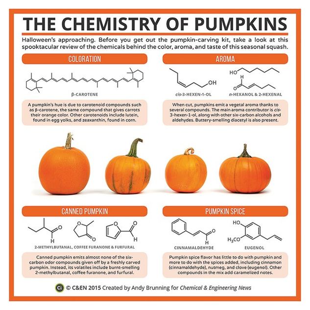 The Chemistry of Pumpkins – in C&EN