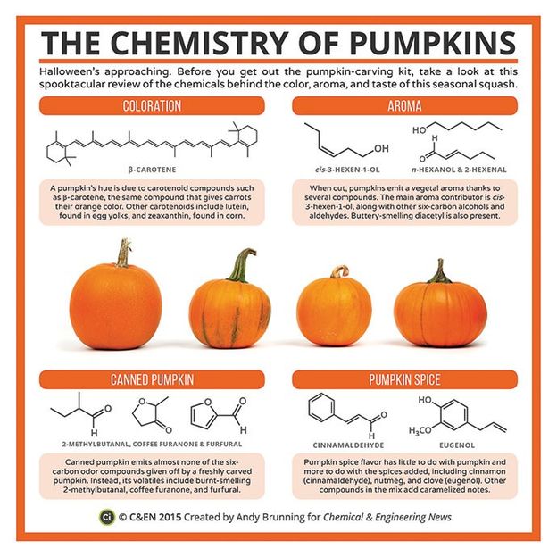 The Chemistry of Pumpkins