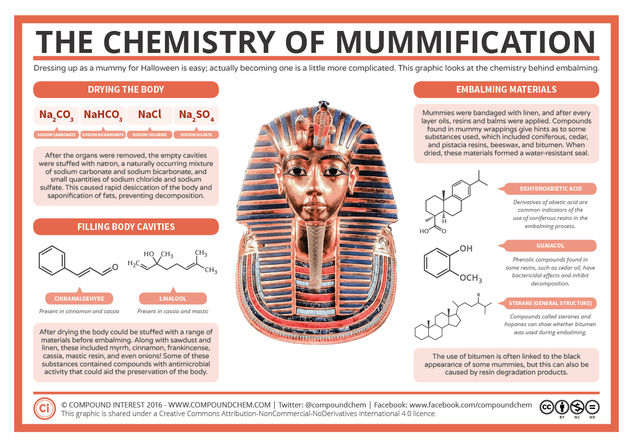 The Chemistry of Mummification