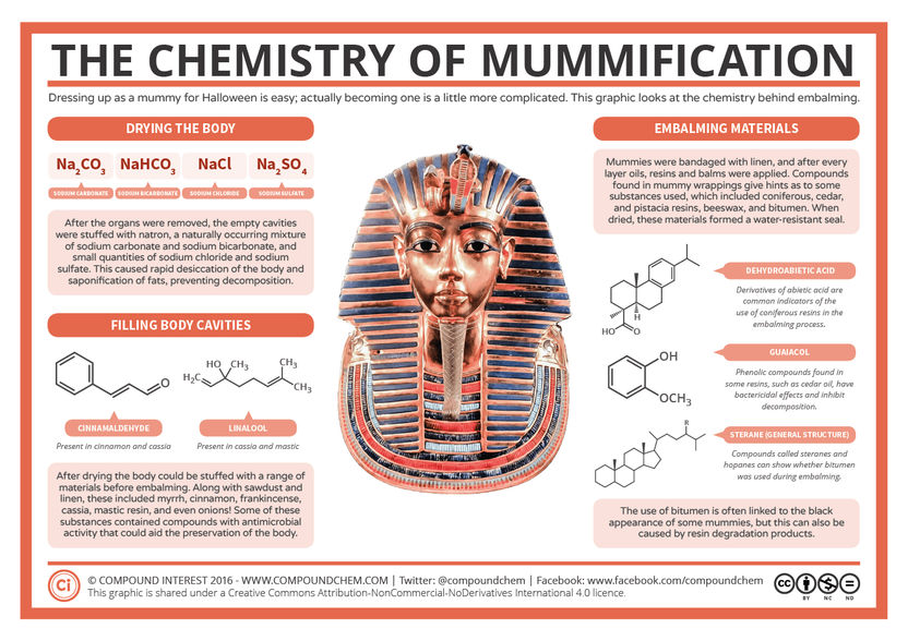 Die Chemie der Mumifizierung