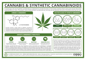 The Chemistry of Cannabis & Synthetic Cannabinoids
