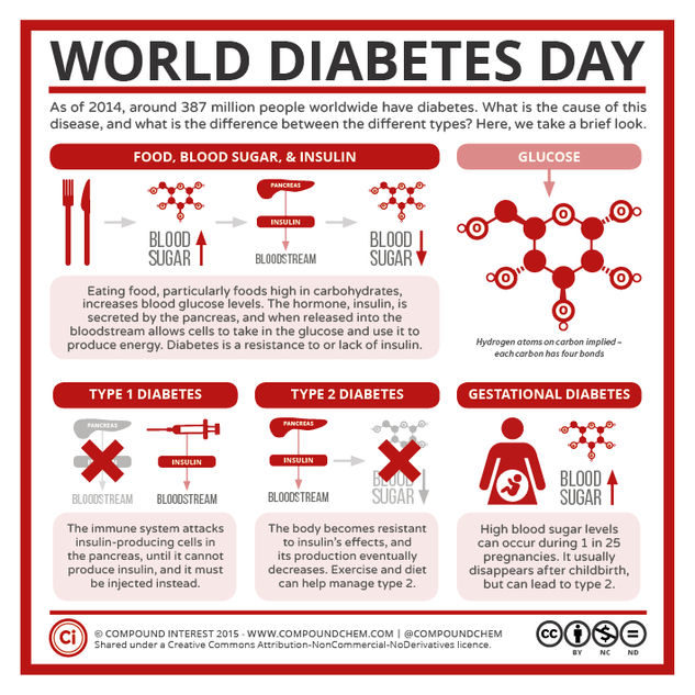 World Diabetes Day: Glucose, Insulin, & Diabetes
