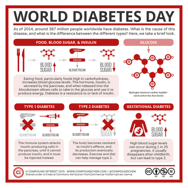Glucose, Insulin, & Diabetes