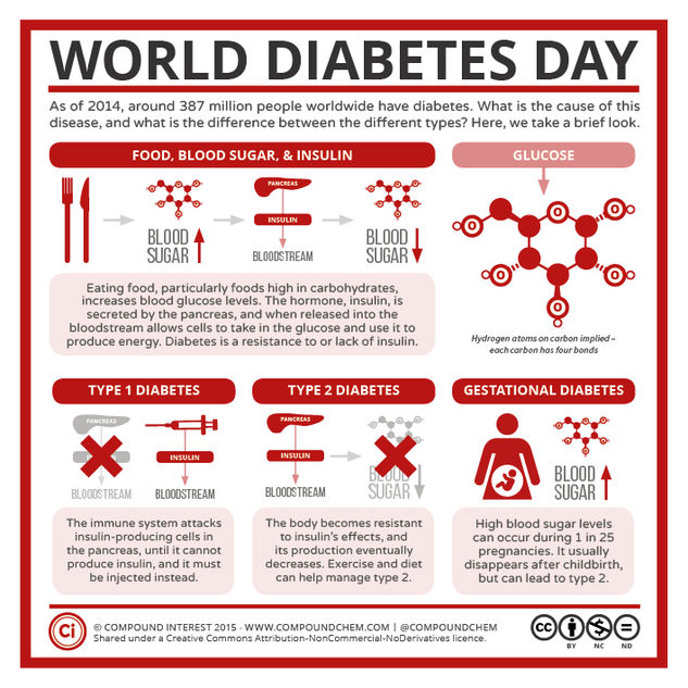 World Diabetes Day: Glucose, Insulin, & Diabetes