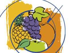 Verband der deutschen Fruchtsaft-Industrie e. V. 12.07.2013