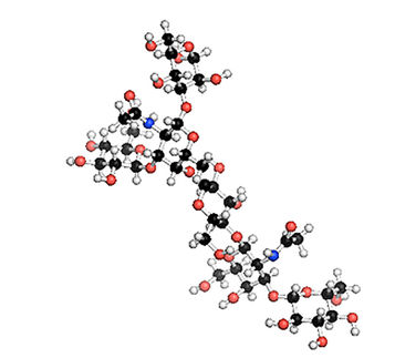 hexasaccharide
