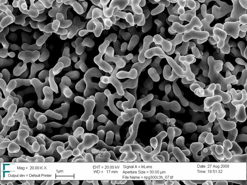 Neues Nanomaterial wechselt Eigenschaft nach Bedarf_2