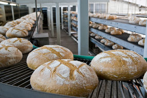 Großbäckereien: Tarifabschlüsse für Baden-Württemberg, Nord und NRW