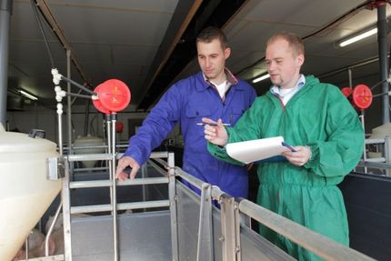 Stichprobenaudits im QS-System
