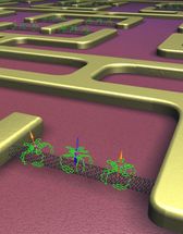 Nano-Magnetschalter, die sich selbst zusammenbauen