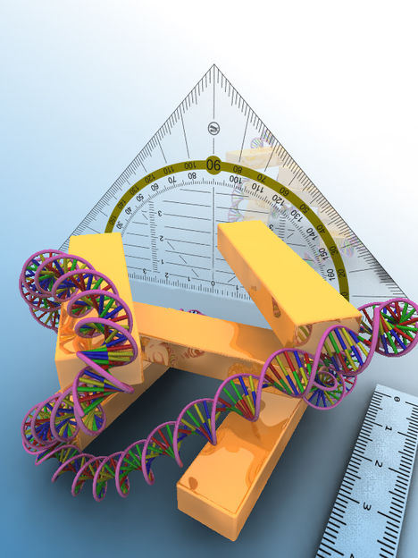 Dreidimensionales Plasmonenlineal zum Vermessen von Zellkernen