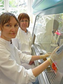 Auf dem Weg zur individuellen Therapie bei Nierenkrebs