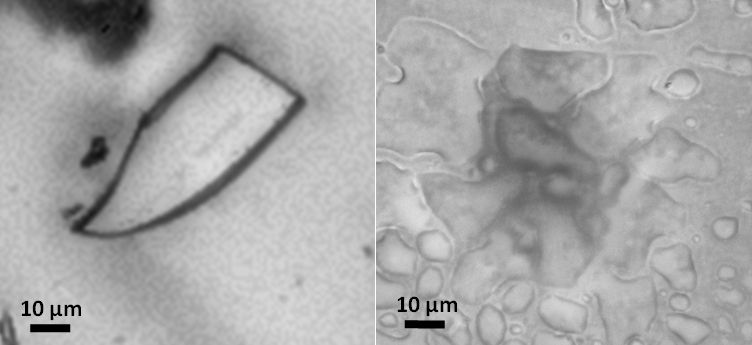 © Manabu Shiraiwa / MPI für Chemie 