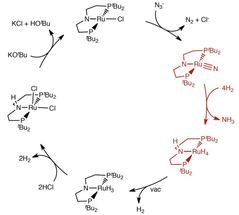 Ammoniaksynthese unter milden Bedingungen