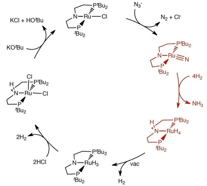 Ammoniaksynthese unter milden Bedingungen