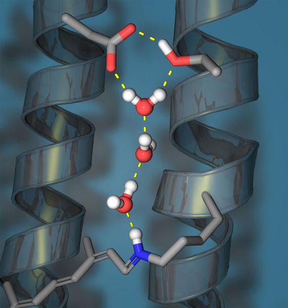 LS Biophysik