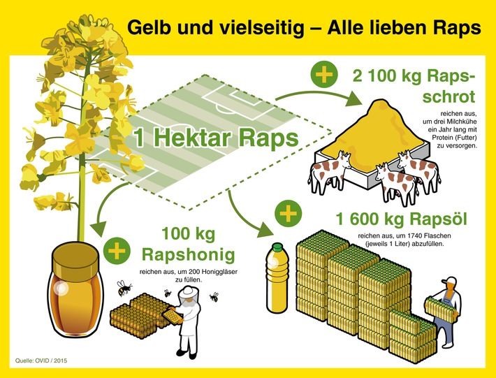 obs/OVID, Verband der ölsaatenverarbeitenden Industrie in Deutschland e.V./Quelle: OVID / 2015