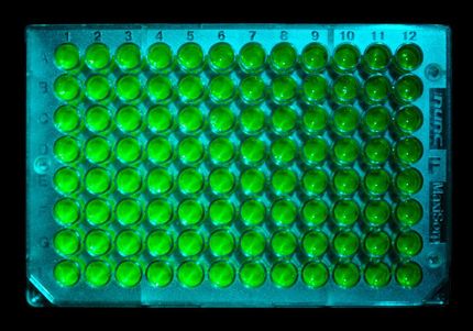 Immunologische Tests werden noch verlässlicher