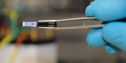 Der winzige CO2-Sensor der ETH-Forschenden: Chip mit einer dünnen Schicht des Polymer-Nanopartikel-Verbundmaterials.