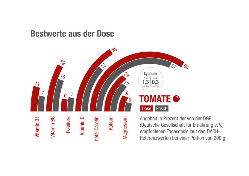 Initiative Lebensmitteldose