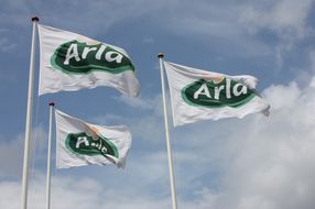 Arla creates a global organisation fit for the future