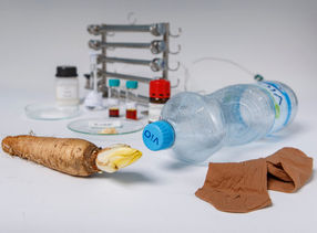 Von der Chicorée-Wurzel zum Plastikflasche