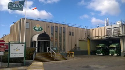 ARLA FODDS plant Schließung von Molkerei in Großbritannien