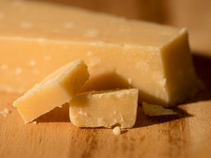 Welche Geschmacks- und Aromastoffe stecken in Parmesan? Dem sind TUM-Wissenschaftler nun nachgegangen.