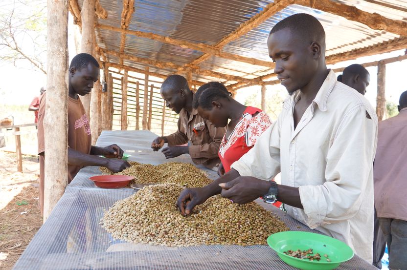 USAID schließt sich Nespresso und TechnoServe an und unterstützt
Kaffeebauern im Südsudan - Investitionen in Höhe von 3,18 Millionen US-Dollar beschleunigen die Entwicklung des Kaffeemarkts im Südsudan