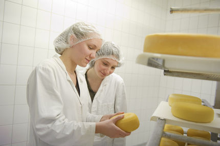 Kostengünstig neue Geschmacksrichtungen produzieren: Neues Verfahren der Universität Hohenheim zur Schnittkäse-Herstellung