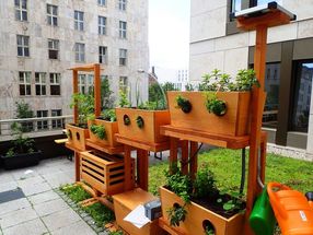 Biofarm auf dem Balkon